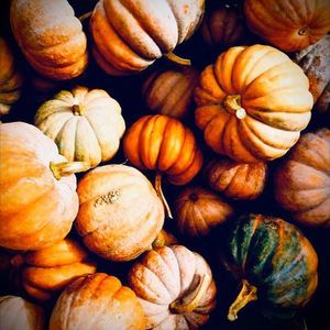 Meet your Posher, Lindsey